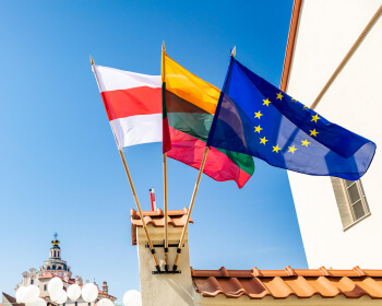 Адлічаныя з беларускіх ВНУ студэнты змогуць працягнуць навучанне ў ЕГУ ў Вільні